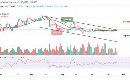 Bitcoin Price Prediction for Today, October 25: BTC/USD Signals Fresh Increase towards $20k