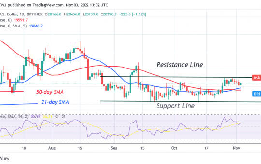 Bitcoin Price Prediction for Today, November 3: BTC Price Slides Downward with a Potential Drop to $19.8K