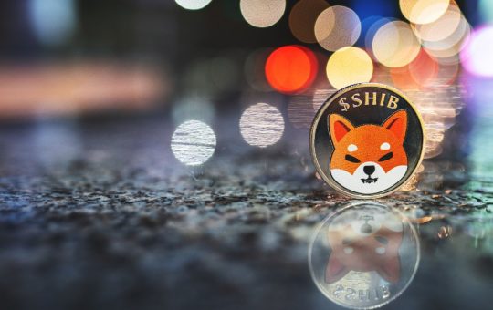 Shiba Inu SHIB prediction as price retraces 50%