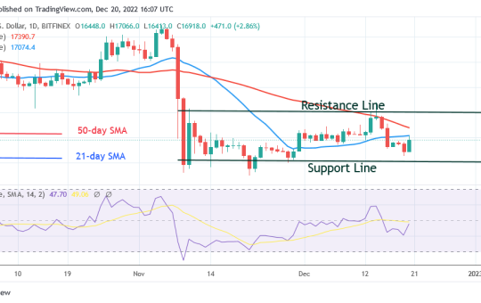 Bitcoin Price Prediction for Today, December 20: BTC Price Slumps and Struggles below $17K