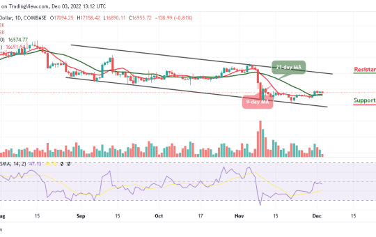 Bitcoin Price Prediction for Today, December 3: BTC/USD Falls 0.81% to 16,890 Support