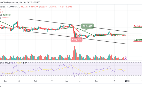 Bitcoin Price Prediction for Today, December 30: BTC/USD Range-bounds; A Recovery to $18k Resistance?