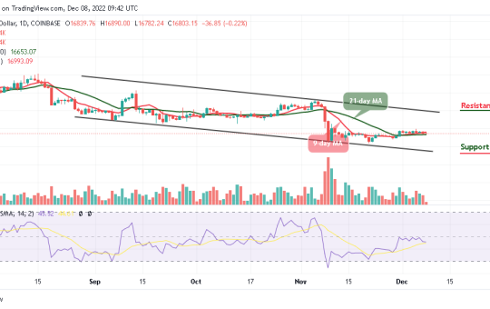 Bitcoin Price Prediction for Today, December 8: BTC/USD Sticks in a Tight Range Below $17,000