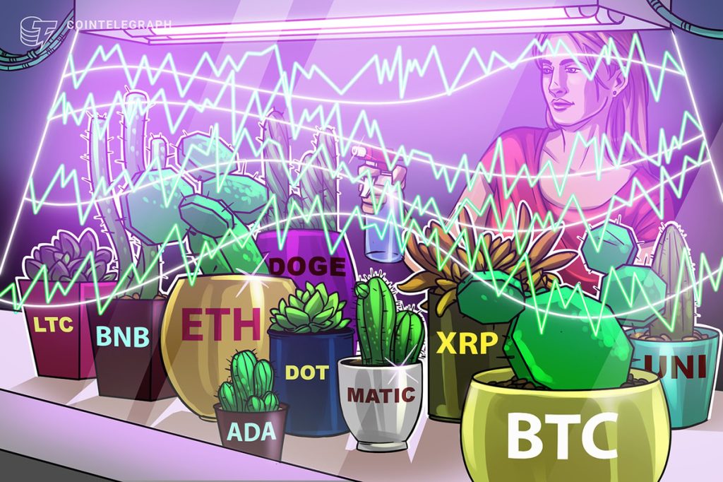 Price analysis 12/23: BTC, ETH, BNB, XRP, DOGE, ADA, MATIC, DOT, LTC, UNI