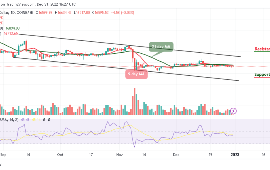 Bitcoin Price Prediction for Today, December 31: BTC/USD Could End the Year 2022 Further Lower