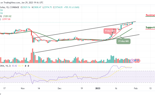 Bitcoin Price Prediction for Today, January 29: BTC/USD Bounces Near $24,000 Resistance Level