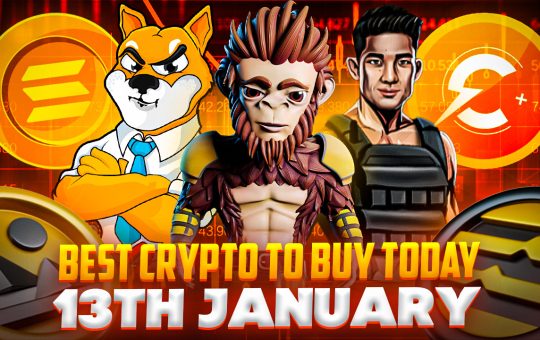 Best Coins to Buy Today 13th January – MEMAG, SHIB, FGHT, SOL, CCHG, APT, RIA, MANA, D2T