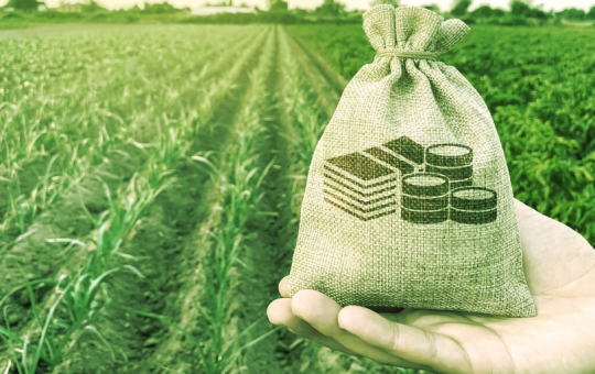 Fluidity Aims to Reward Actual DeFi Users Over Profit Farmers