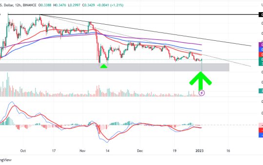 XRP price 12-hour chart