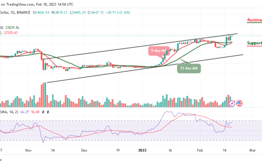 Bitcoin Price Prediction for Today, February 18: BTC/USD Looks for a Spike Above $24,600