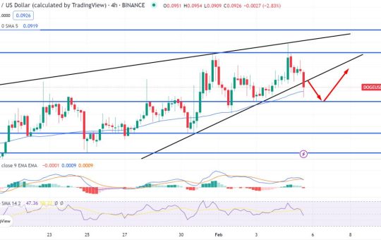 Dogecoin Price Prediction as Popular Crypto Trader Predicts 50% Move Up – Time to Buy?