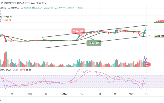 Bitcoin Price Prediction for Today, March 14: BTC/USD Retreats After Trading Above $26k