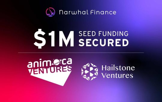 Narwhal Finance Secures $1M in Seed Funding Led by Animoca Ventures