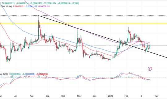 Shiba Inu Price Prediction as SHIB Blasts Up 15% From Recent Bottom &ndash; New Bull Market Starting?