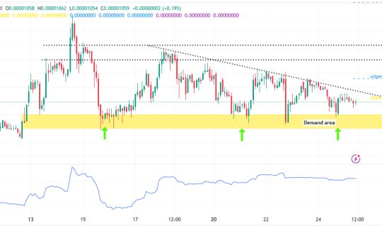 Shiba Inu Price Prediction