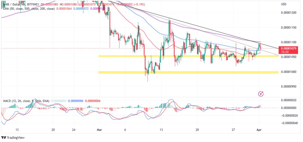 Shiba Inu Price Prediction as Testnet