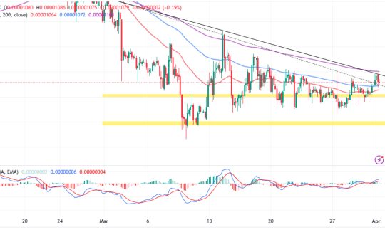 Shiba Inu Price Prediction as Testnet