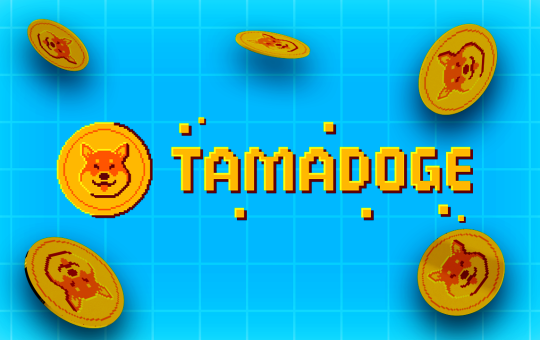 Tamadoge Skyrockets 80% Ahead of Exchanges Listing and App Release