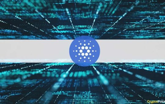 Avorak AI Explores Cardano Interoperability For Trading Platform