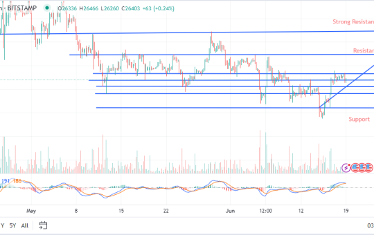 Bitcoin's $25,000 Support Holds Firm – Has the Bottom Arrived? Expert Price Predictions