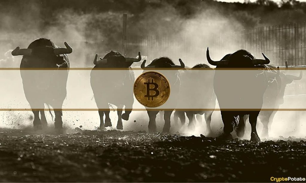 When Will Bitcoin's Bull Run Start? Analyst Chips In