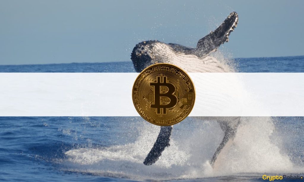 Fake BlackRock ETF News Caused This Crypto Whale To Lose Big