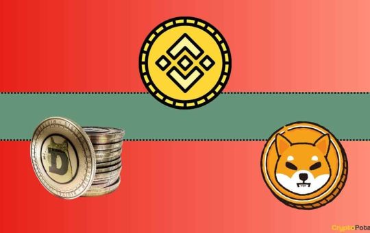 Important Binance Update Concerning Shiba Inu (SHIB) and Dogecoin (DOGE)