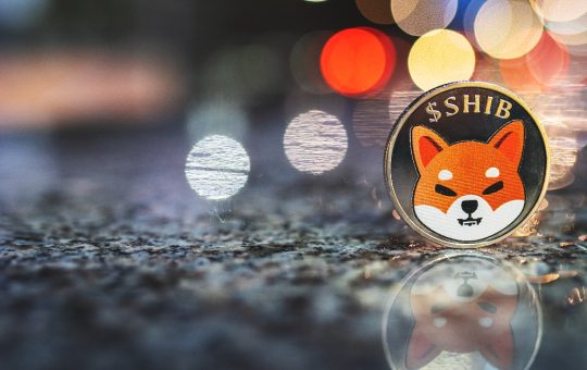 Shiba Inu up by 5% this week as Memeinator’s presale approaches $1.5 million