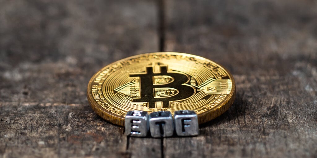 Bitcoin ETF Issuers May Dwindle by End of Year, Says Valkyrie CIO