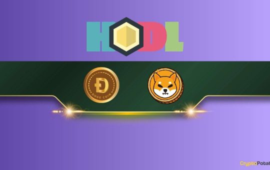 Shiba Inu (SHIB) and Dogecoin (DOGE) Holders Near an Important Milestone: Details