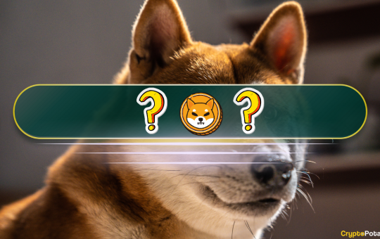 The Best Shiba Inu (SHIB) Alternatives in 2024: Meme Coin Deep Dive