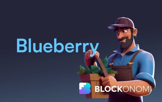 Decentralized Prime Brokerage Terminal Blueberry Protocol Raises $2.5M