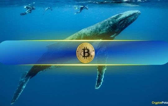 Over 40% of Bitcoin (BTC) Supply Now Held by This Group of Whale Addresses