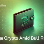 Unlocking the Benefits of Now Wallet Amid the Bull Run