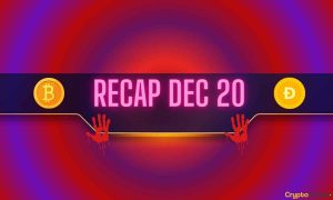 Bitcoin (BTC) Price Collapse, Meme Coin Bloodbath, and More: Bits Recap Dec 20