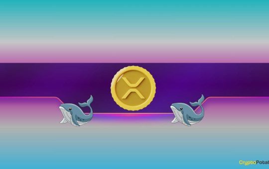 Ripple, Dogecoin Whales Bought the Dip as XRP, DOGE Prices Soar