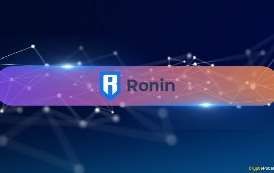 Ronin's DeFi TVL Grows 149% YoY, Boosted by RON Token's 30% Price Rise