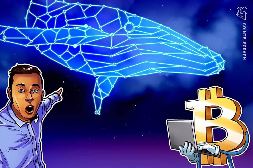 Bitcoin whale ‘Spoofy’ accumulates $344M BTC as price tumbles below $90K