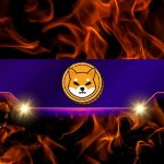 Is the SHIB Price Ready to Take off?