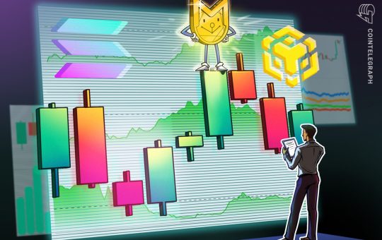 BNB Chain catches memecoin wave as Solana wipes out