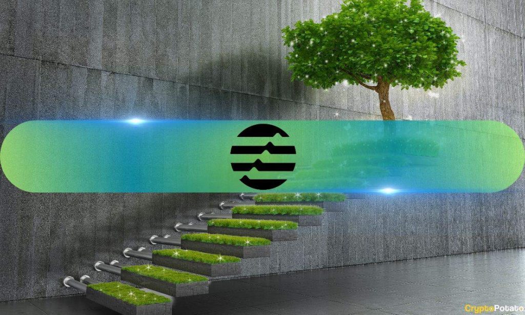 Aptos TVL Doubles Year-Over-Year Despite APT Token Price Drop