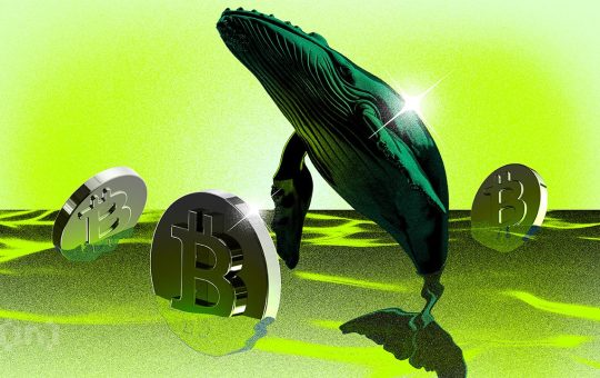 Bitcoin Whales Hit Peak Accumulation as Smaller Holders Shift to Selling