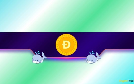 Is DOGE Poised for a Rally?