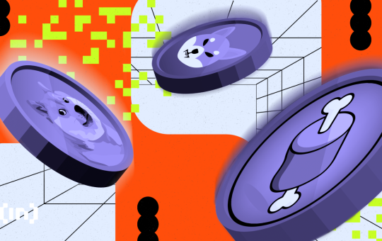 Behind the Scenes of Meme Coin Mania: Why Only 10% of Projects Dominate Fundraising