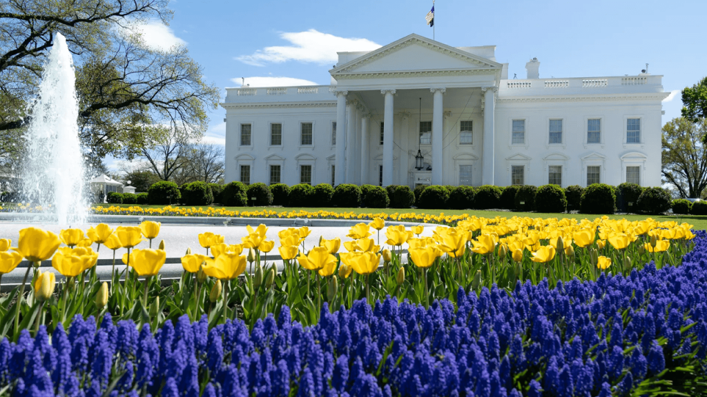 Crypto.com Expands US Presence With New DC Office Amid Trump’s Regulatory Shifts