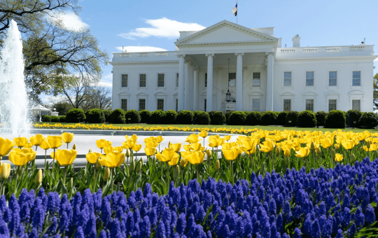 Crypto.com Expands US Presence With New DC Office Amid Trump’s Regulatory Shifts