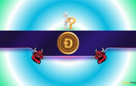 Dogecoin (DOGE) Might Explode Soon But Under This Important Condition (Analyst)