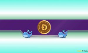 Dogecoin (DOGE) Whales Go Crazy: Further Price Rally Incoming?