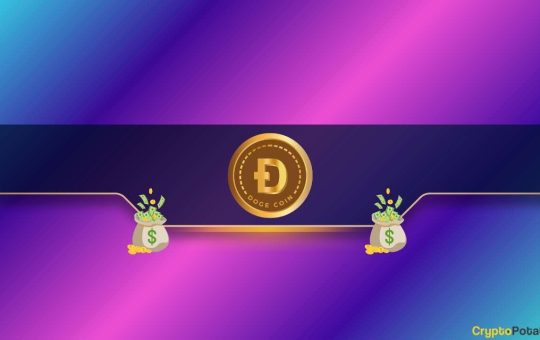 Dogecoin Liquidation Map Highlights This Zone as Must-Watch Target