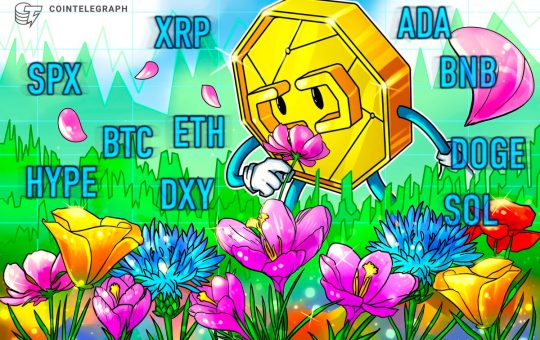 Bitcoin Liquidations Hit 1-Year Record, Altcoins Follow